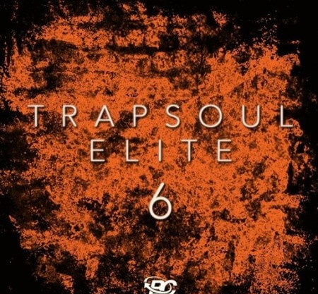 Big Citi Loops Trapsoul Elite 6 WAV